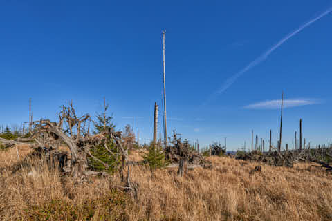 Gemeinde Neureichenau Landkreis Freyung-Grafenau Plöckenstein (Dirschl Johann) Deutschland FRG